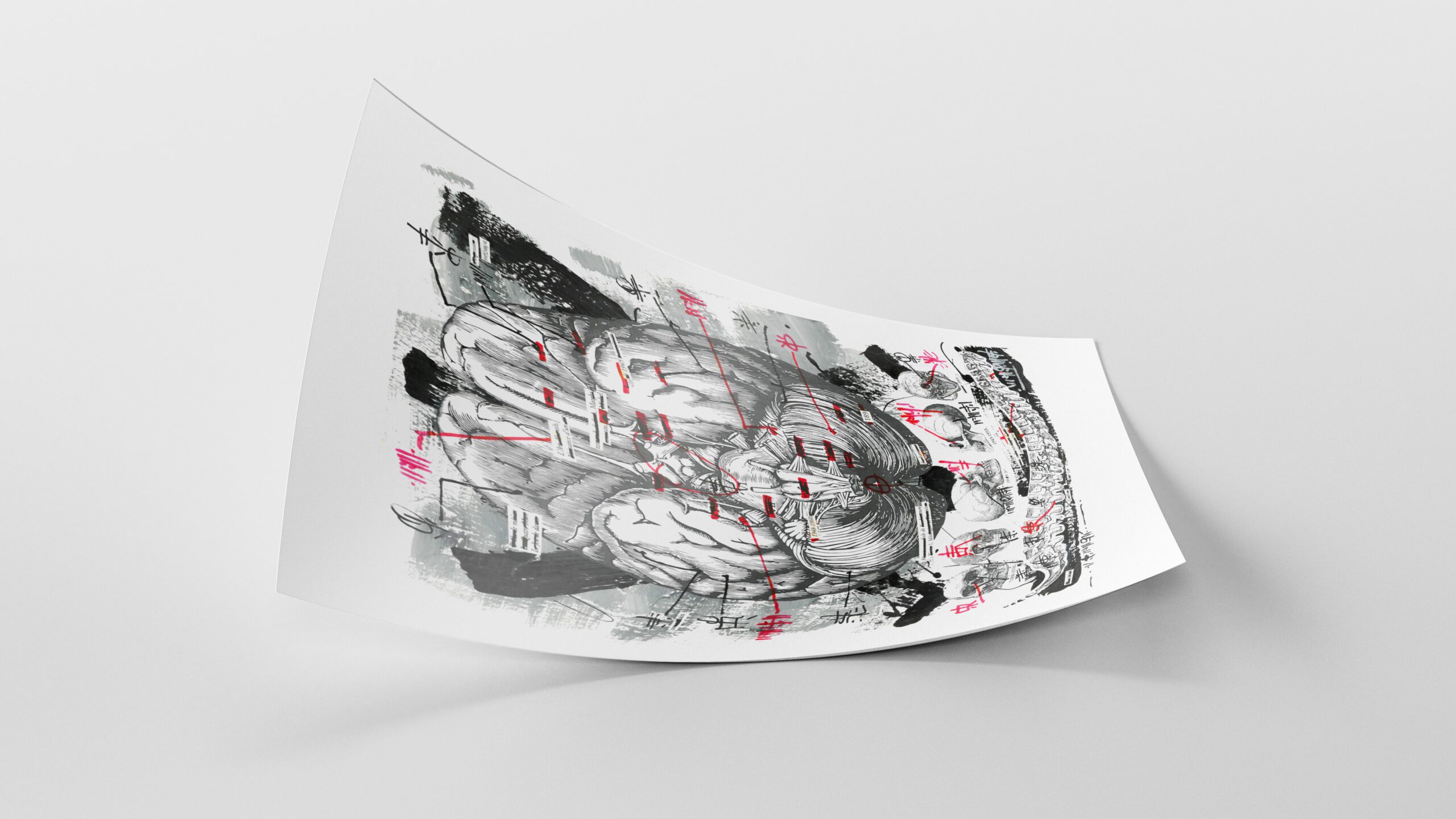 55Script_CORTEX DISECTION 2