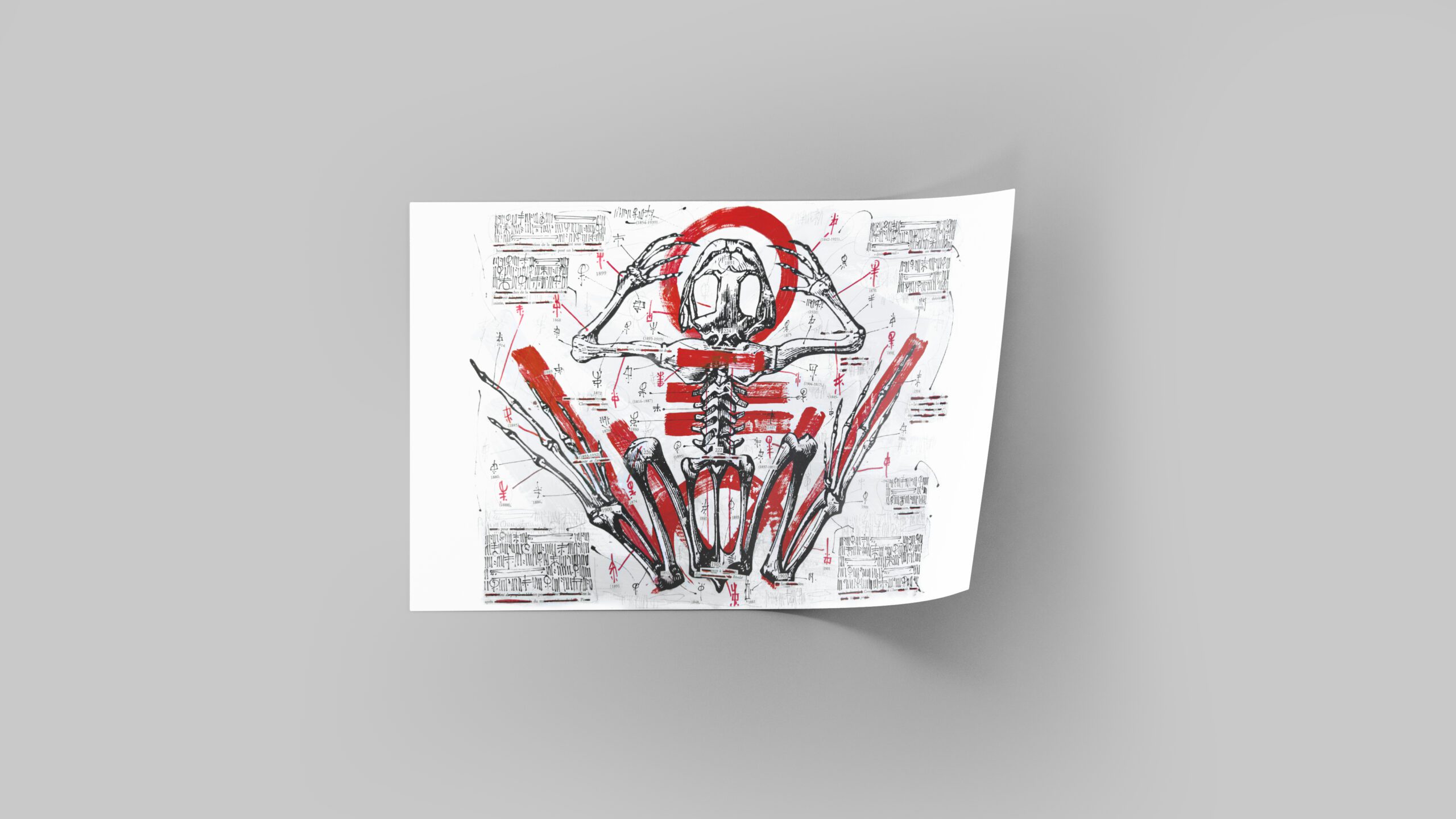 55Script_KERMIT FROG DISSECTION 2