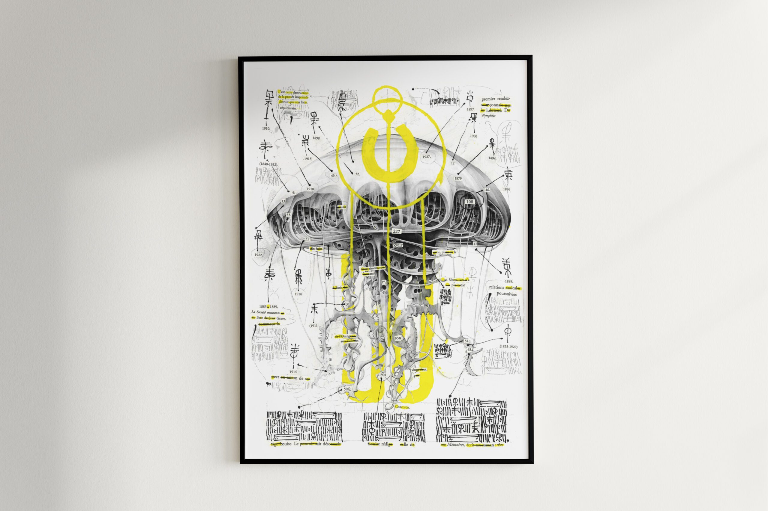 55Script_SCYPHOZOA DISSECTION 1