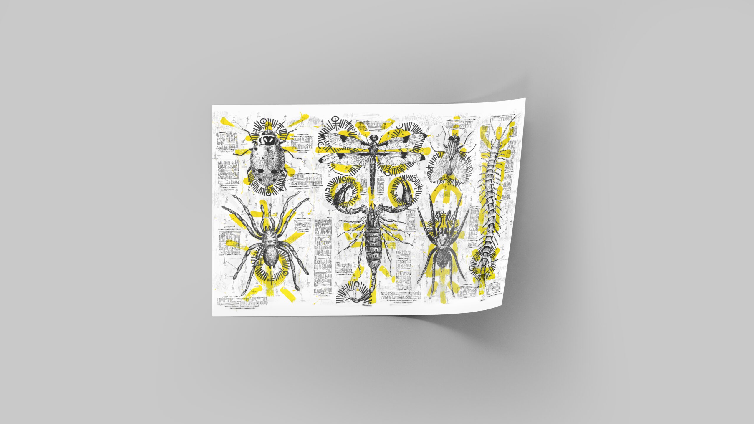 55Script_preditors and prey 2