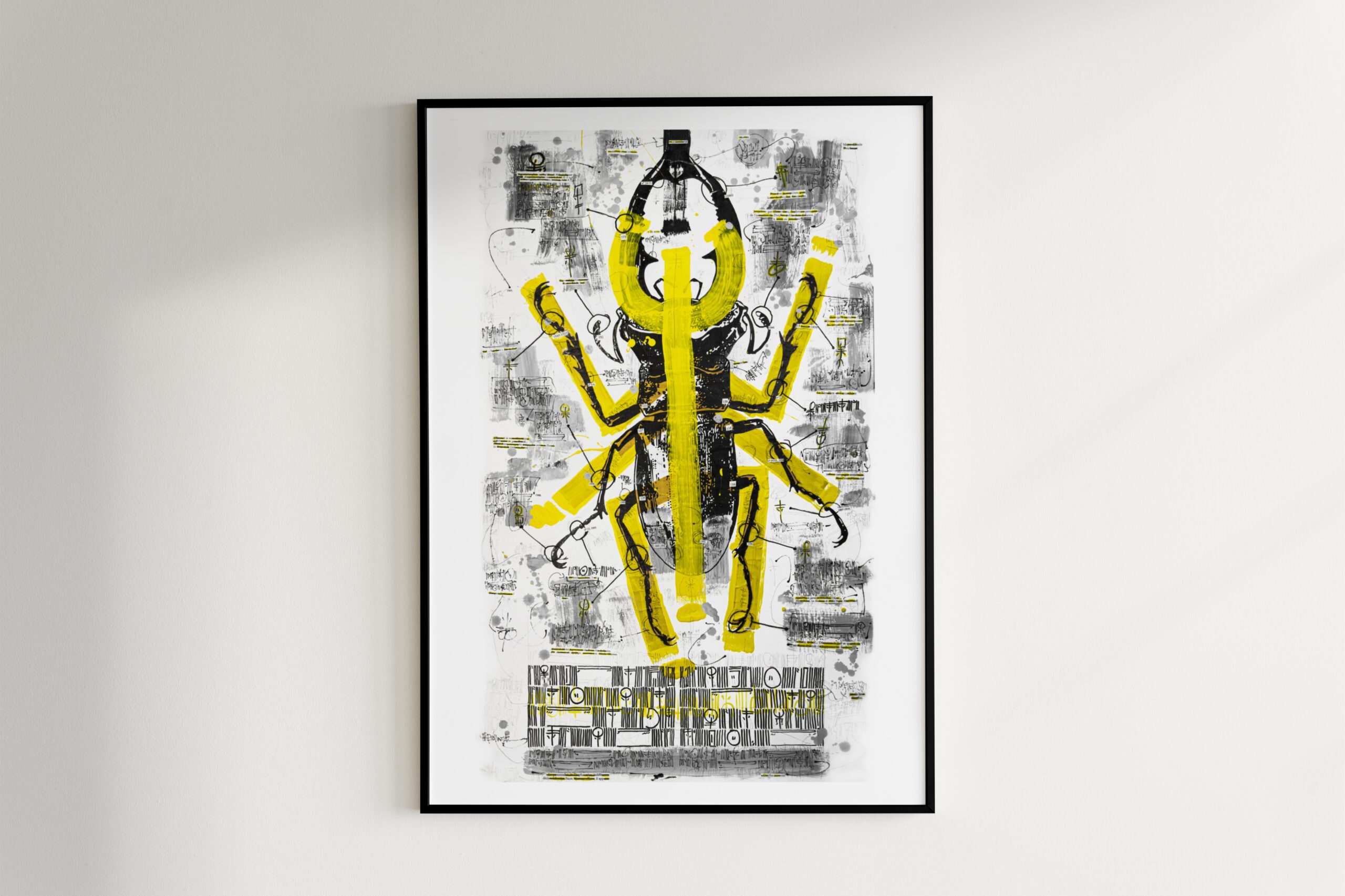 55_BEETLE DISSECTION 1