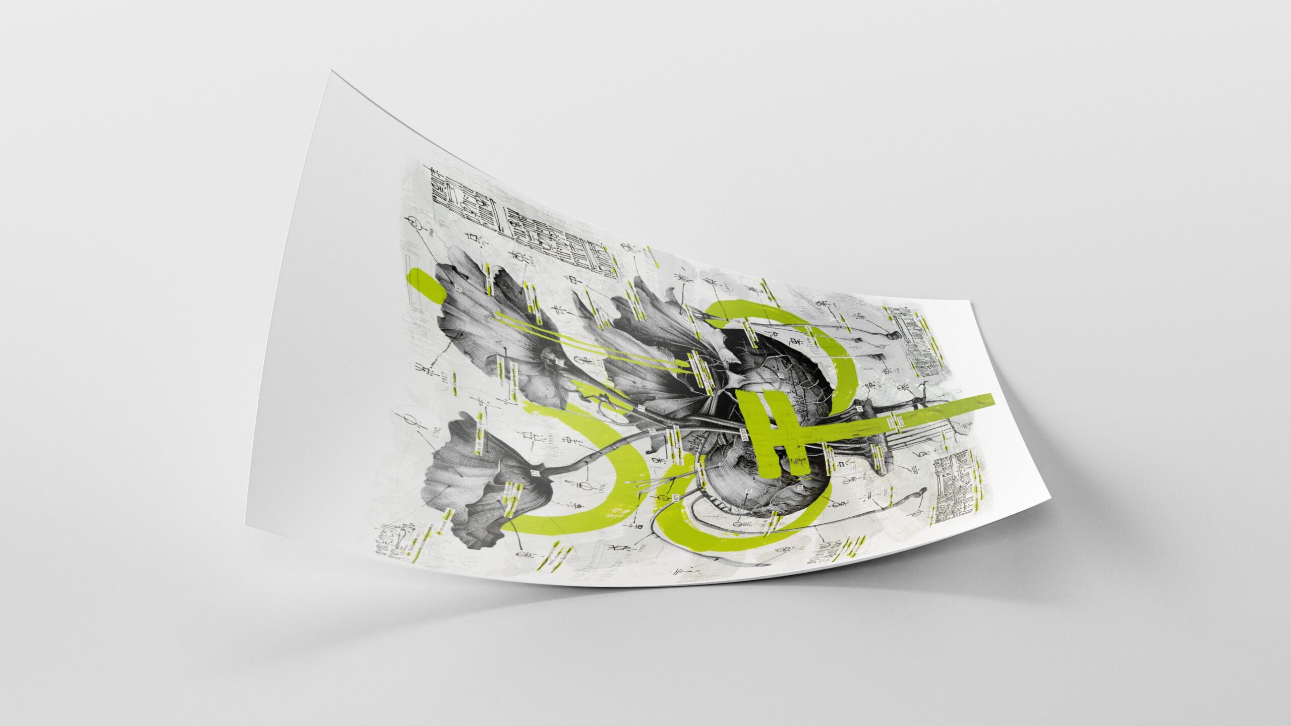 55_Conjoined Twins 2