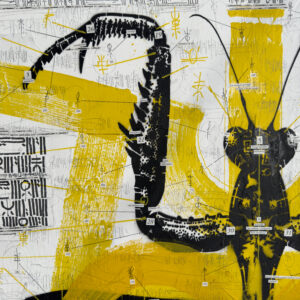 CHAPTER II MANTIS DISSECTION