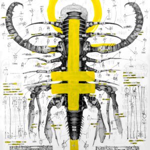 SCOLOPENDRA GIGANTEA DISSECTION