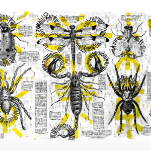 PREDITORS AND PREY DISSECTION